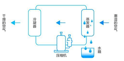 1575881746625611.jpeg 4a36acaf2edda3cc45d27873486d3804213f923c.jpeg