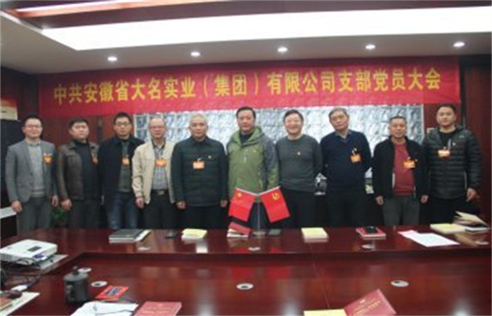 凝心聚力開啟新征程，砥礪奮進(jìn)譜寫新篇章  ——記中共安徽省大名實業(yè)（集團(tuán)）有限公司支部換屆選舉大會順利召開
