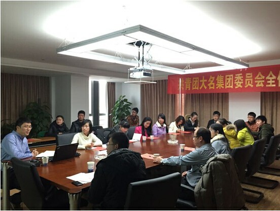大名集團第四屆團委委員增選大會隆重召開